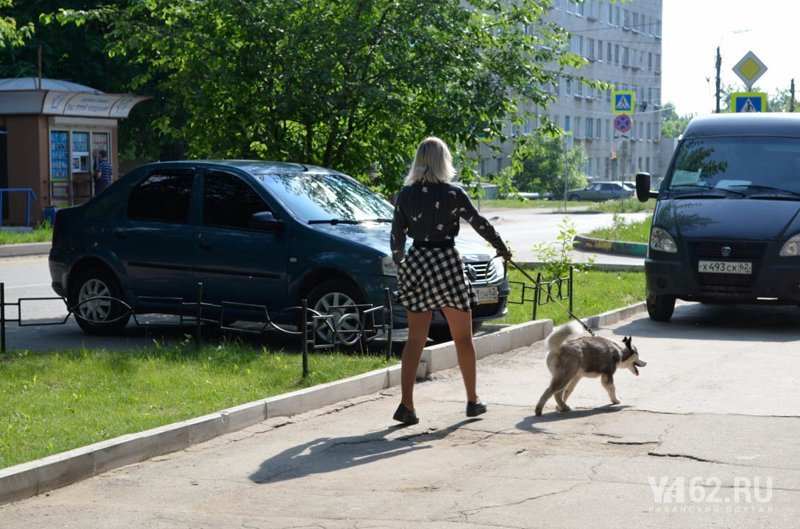 Затерянная Рязань. Фоторепортаж из Шлакового Рязань, Шлаковой, фоторепортаж