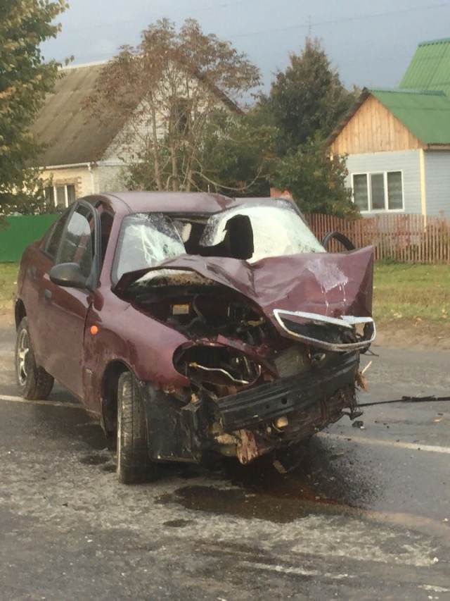 Фото с места смертельного ДТП под Брянском, где автоледи сбила пенсионера