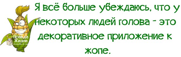 Прикольные фразочки в картинках