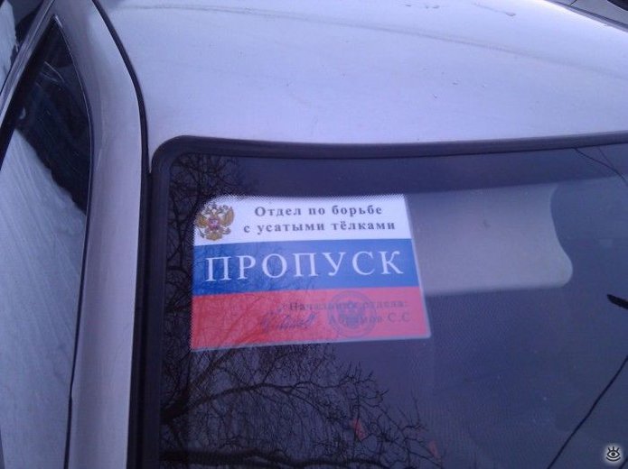Я - рептилоид! 11