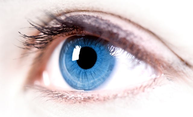 4524271_macroc_eye_30042010 (640x390, 46Kb)