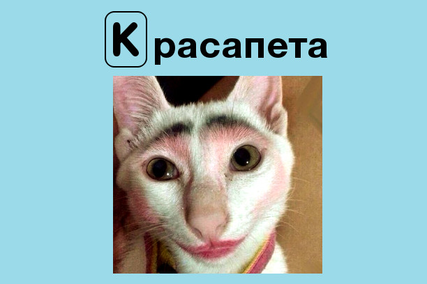 ,       (      )