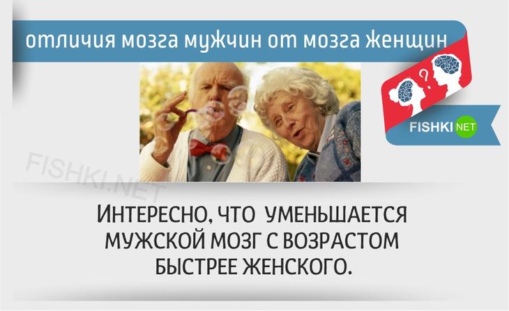 20 отличий мозга мужчин от мозга женщин женщины, мозг, мужчины