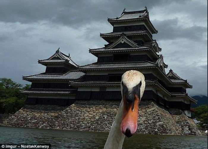 Самые смешные отпускные фотобомбы всех времен Самые смешные отпускные фотобомбы всех времен