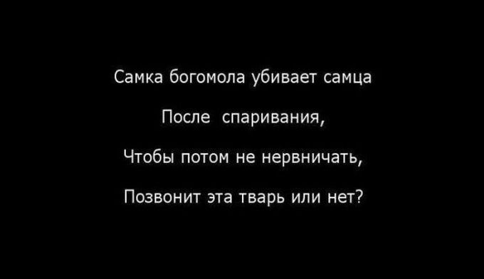 30 картинок, которые расскажут о том, какова жизнь на самом деле жизнь, открытки, юмор