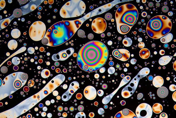 2. Психоделическая эволюция масляной пленки Линден Гледхилл, микроскоп, фото