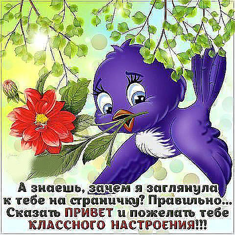 Открытки прикольные добрые Открытки прикольные добрые