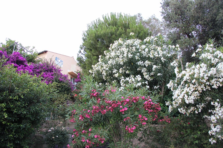 Элафониси, розовые пески, пляж, горы, море, путешествия, фотография, Аксанов Нияз, kukmor, Греция, красота, of IMG_0319