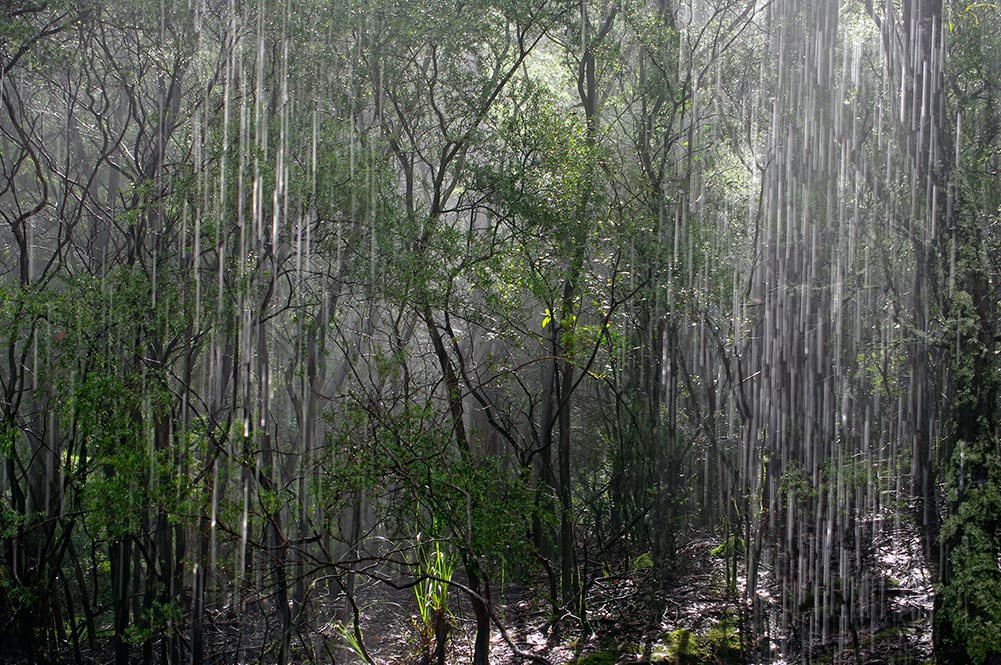 Петр захаров