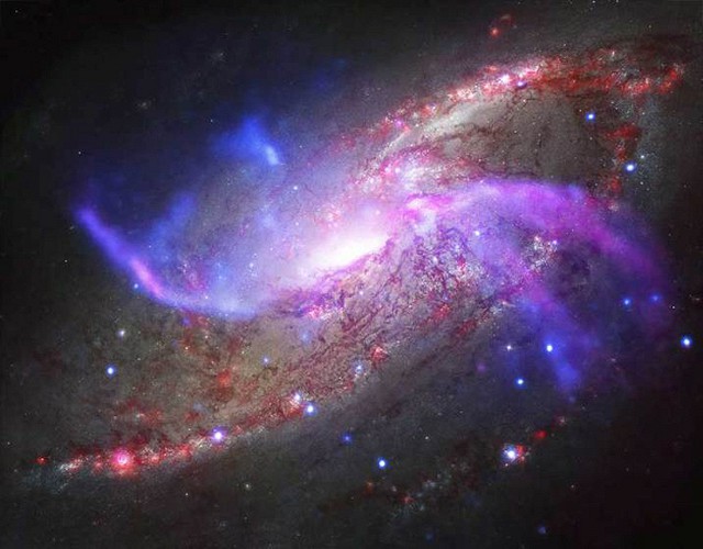 Яркая спиральная сейфертова галактика с перемычкой NGC 4258 в созвездии Гончих Псов.