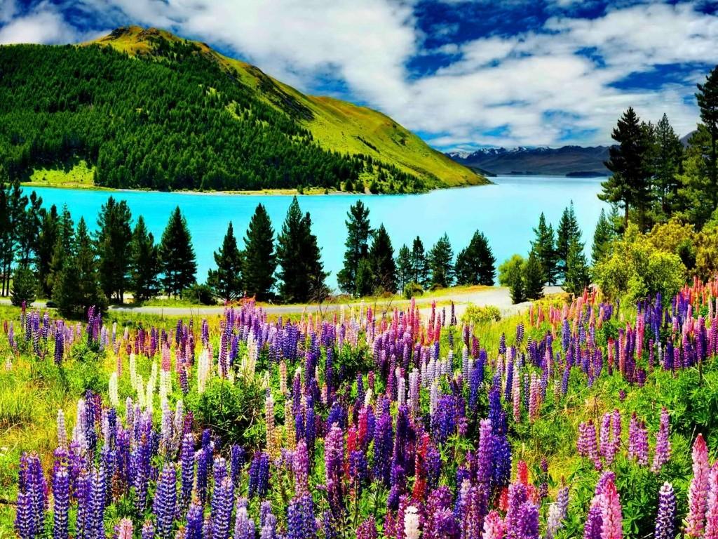 Tekapo01