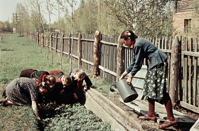 Школьные годы чудесные: 20 ретро фотографий о жизни советских школьников в 1950-х годах