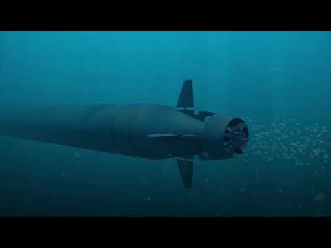 Океанская многоцелевая система «Посейдон» Океанская многоцелевая система «Посейдон»