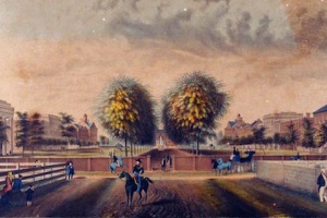 The Secret History of How Slaves Built the Top Universities Revealed The Secret History of How Slaves Built the Top Universities Revealed