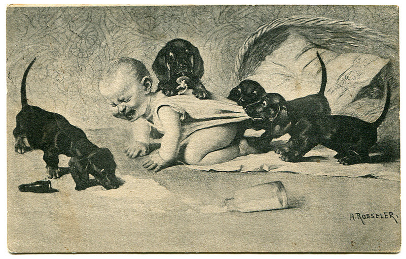 ��������� ������ ��������� �������� ������ ��������, �������, �����