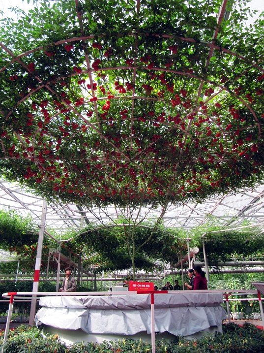 ���������� ������ ����� F1. ����