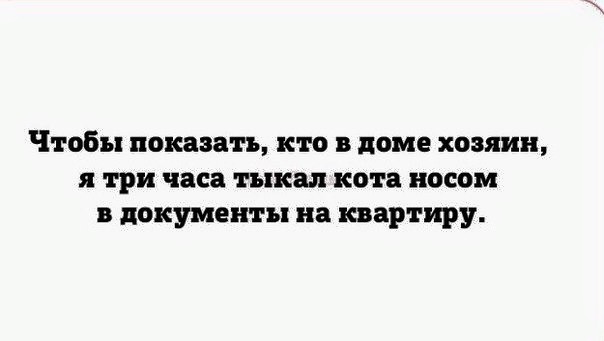 Улыбайся!  Ведь в твою улыбку может кто-то влюбиться.