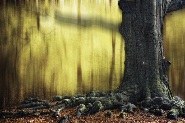     : Lars van de Goor