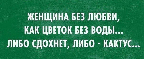 Пост юмора в картинках без политики прикол, юмор