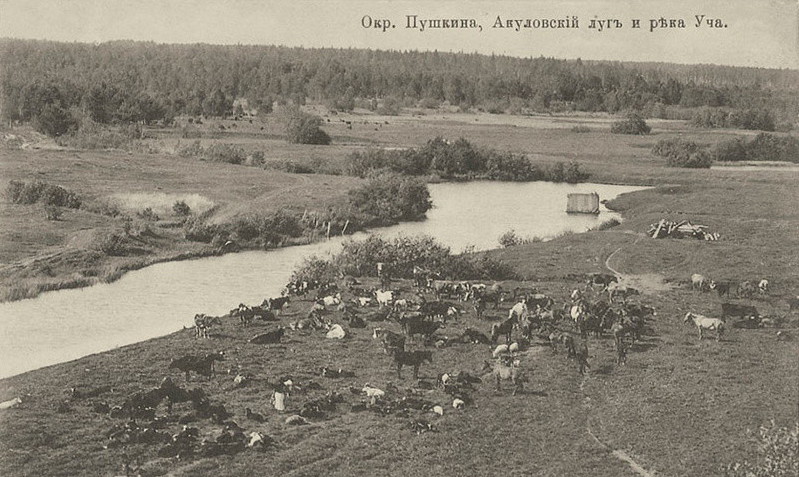 Посёлок Акулово москва, подмосковье, посёлок, уникальность