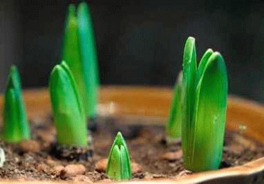 ������� ��������� � �������� ��������