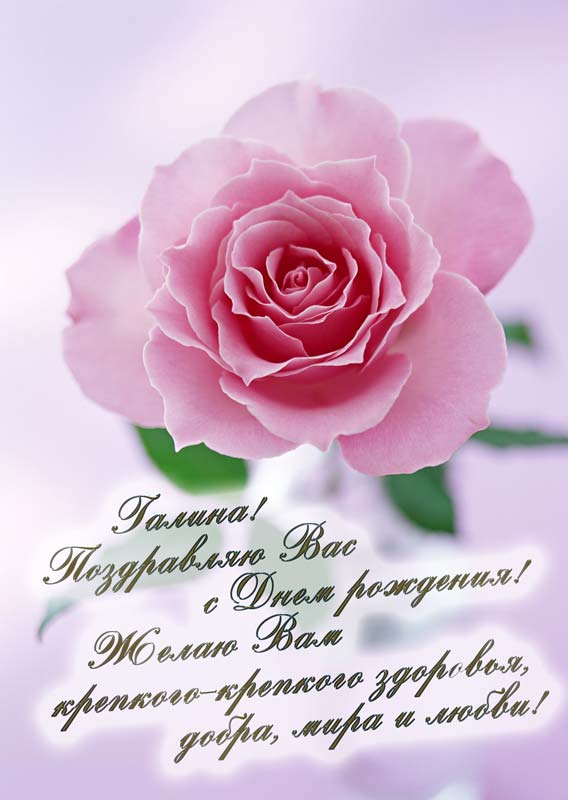 С днем рождения девушке галине С днем рождения девушке галине