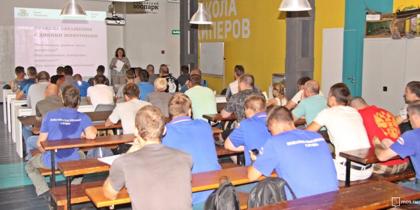 Спасатели готовы к встрече с дикими животными
