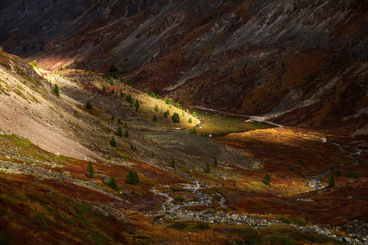 Осень на Алтае — это волшебные переливы желто-оранжевых оттенков, контрастирующие с сизой дымкой на горных вершинах, это плеск горных источников и напоминающий сахарную пудру первый снег...