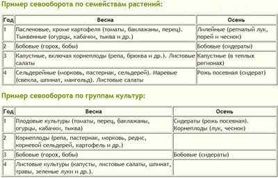 Севооборот на дачном огороде: умный возделывает урожай, а мудрый землю Севооборот на дачном огороде: умный возделывает урожай, а мудрый землю