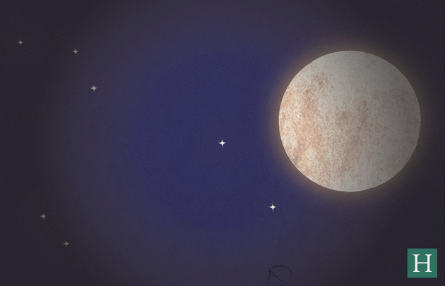 6_result
