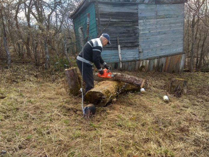 Спиливать яблоню в своем саду — плохая примета