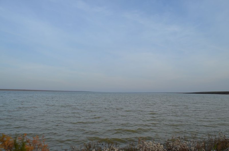 Калмыкия. Солёное озеро Маныч-Гудило Маныч-Гудило., Солёное озеро, калмыкия