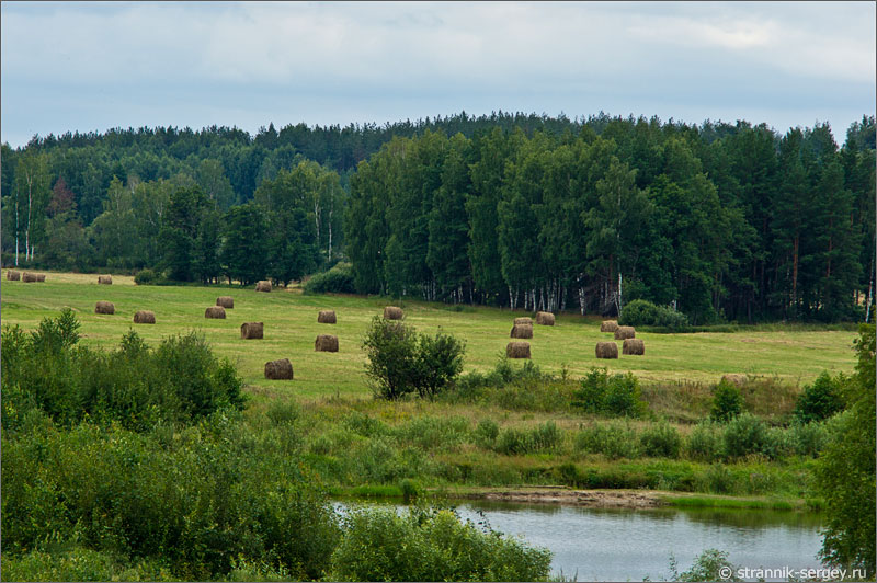 Маленькая река Шередарь пойма заливные луга