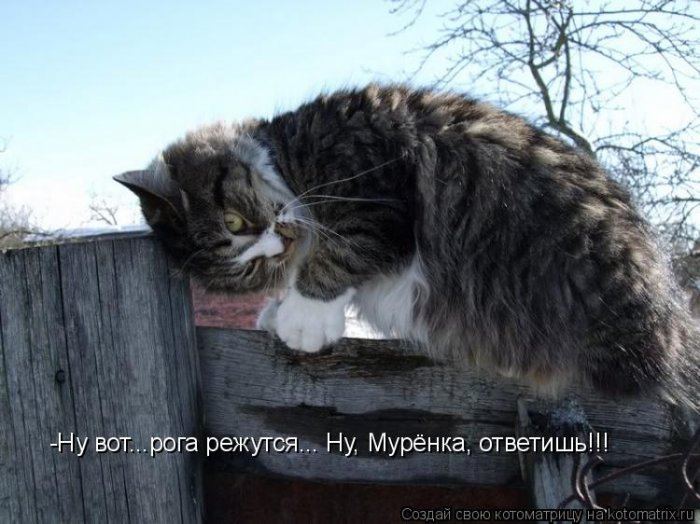   :)