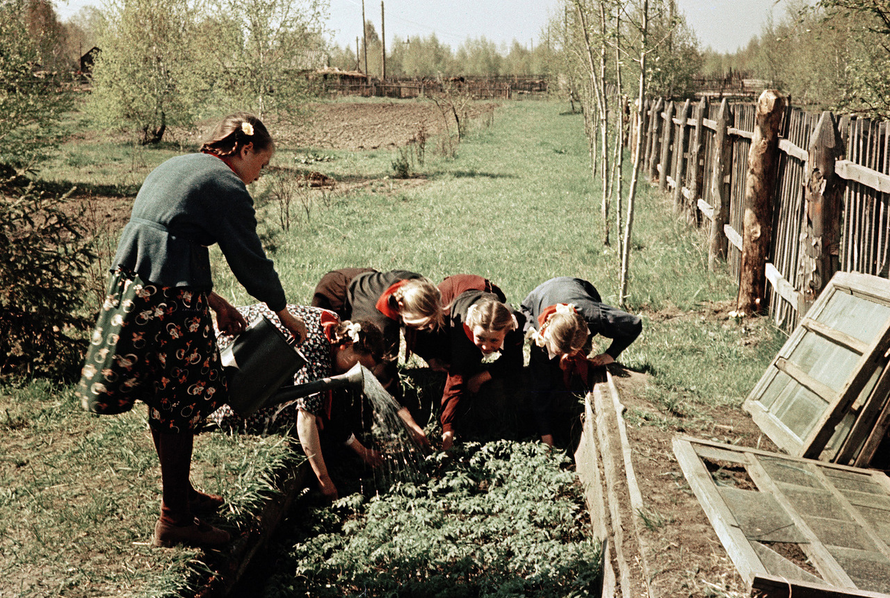 Нижне Чемская школа. Юннаты Нижне Чемская школа. Юннаты