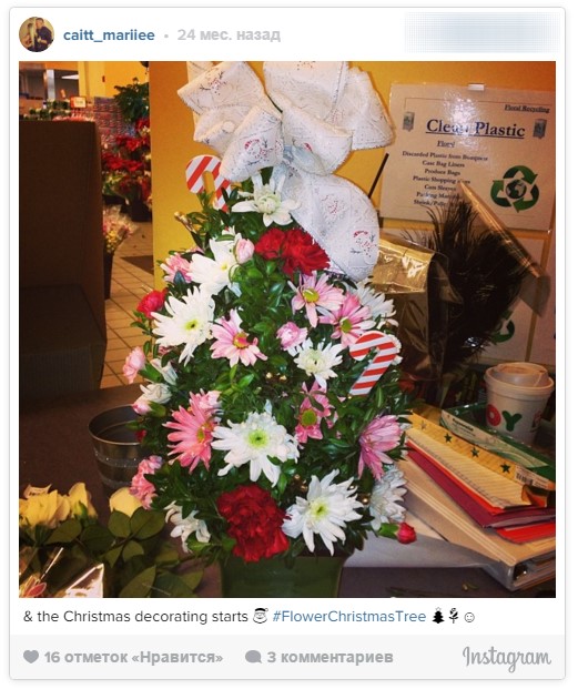 Модно и круто! Елки в цветах! Модно и круто! Елки в цветах!