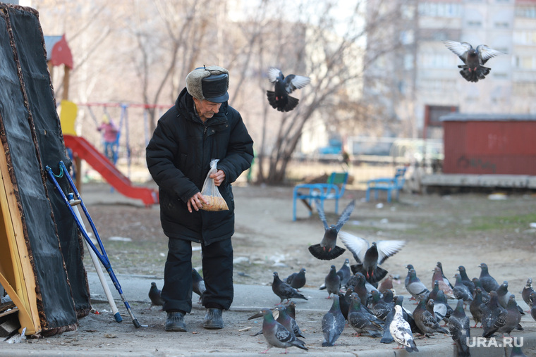 Виды города. Смог. Старые гаражи. Курган, дедушка, пенсионер, кормление птиц