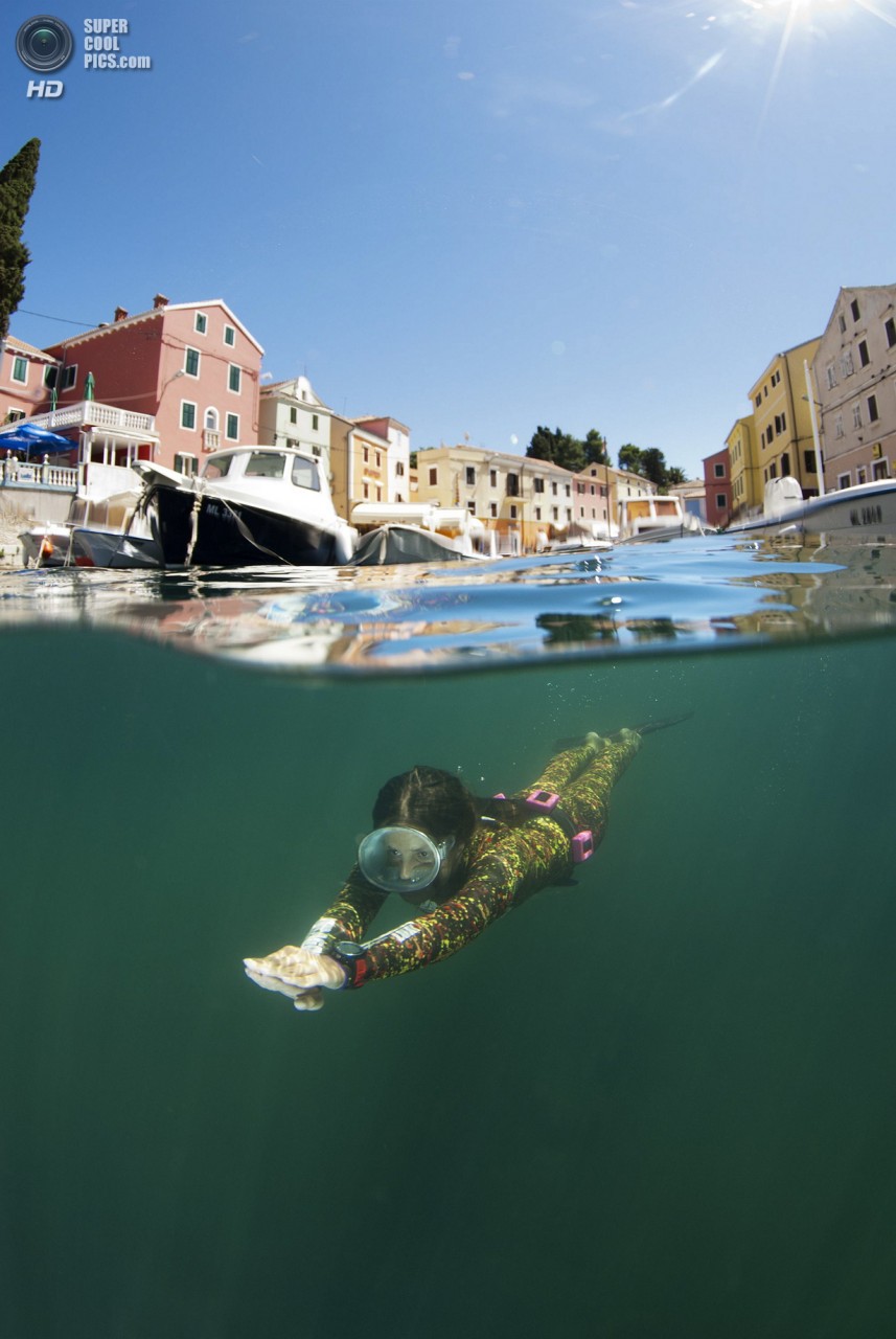 : Under/Over. (Marjan Radovic/UnderwaterPhotography.com)