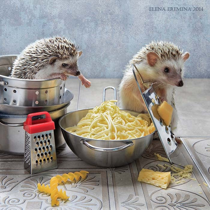     , , 