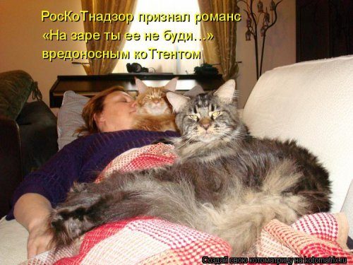 Коллекция лучших котоматриц недели