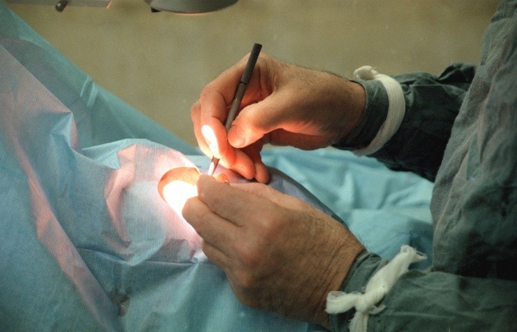 Пересадка сетчатки глаза в Японии операция, пересадка органов, трансплантология