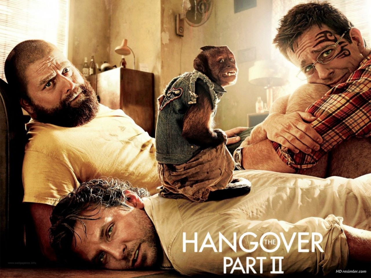 http://www.cigarpro.ru/netcat_files/Image/hangover3.jpg