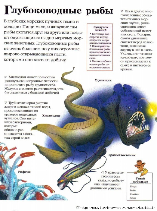 Entziklopedia dlya detei.Vse o jivotnih ot a do ya..page028 (522x700, 309Kb)