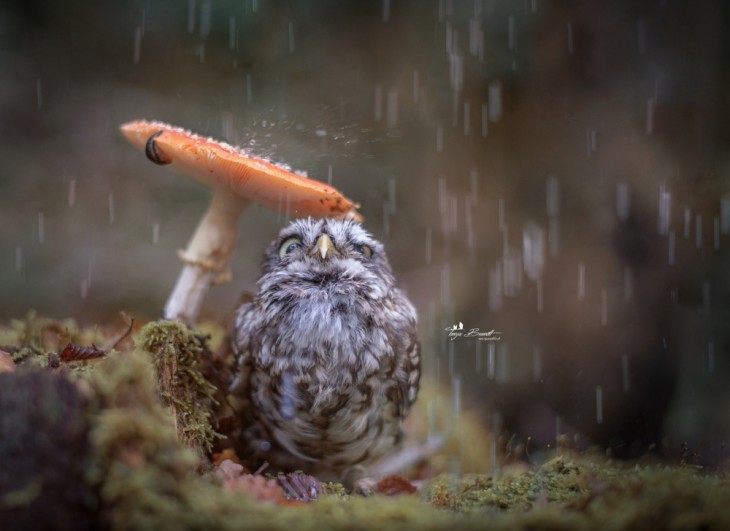 © Tanja Brandt