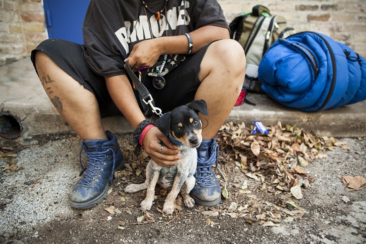 Без дома, но с другом