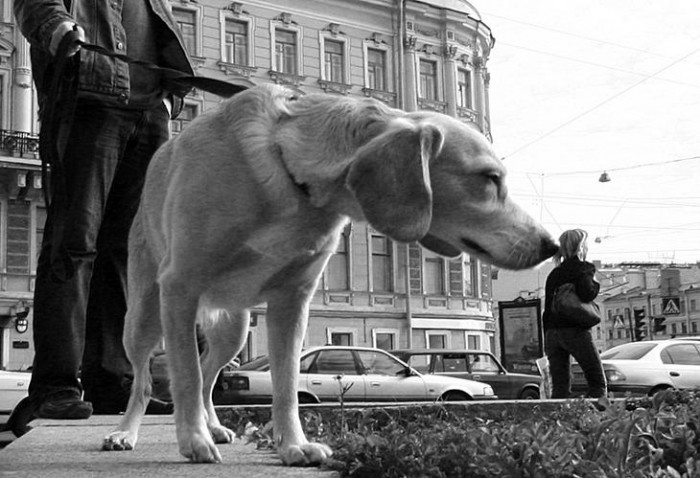 удачное фото подборка, прикол, фото