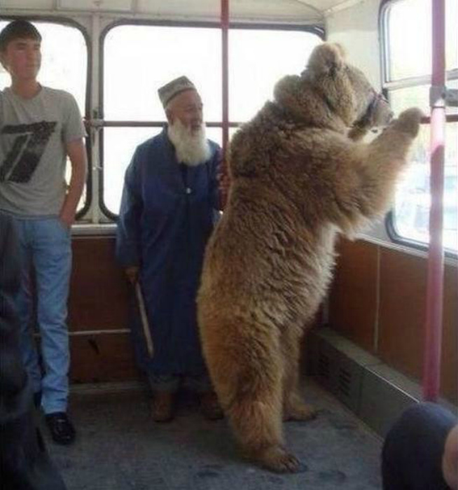 18 фотографий, которые доказывают, что Россия и ее жители реально непобедимы 18 фотографий, которые доказывают, что Россия и ее жители реально непобедимы