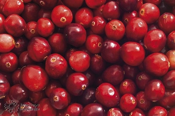 Рябина — понижает, куркума — повышает. Рябина — понижает, куркума — повышает.