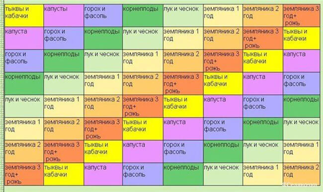 Севооборот на дачном огороде: умный возделывает урожай, а мудрый землю Севооборот на дачном огороде: умный возделывает урожай, а мудрый землю