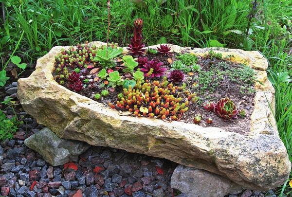 Клумба из речных камней Клумба из речных камней